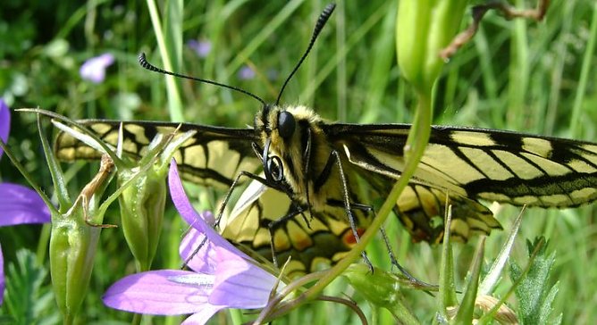 Ausstellung in Ellrich (Foto: privat)