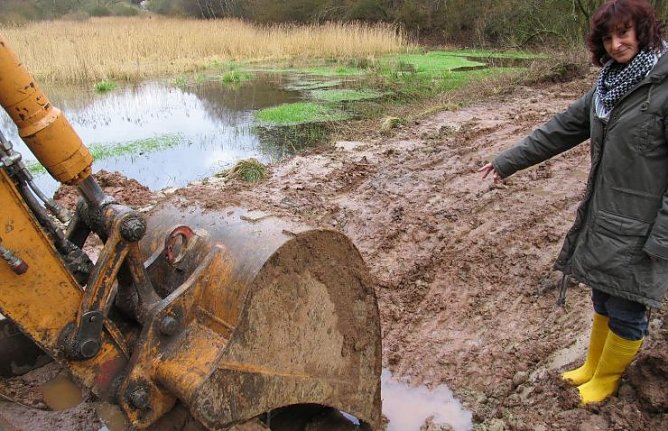 Teiche und Damm (Foto: psv) Teiche und Damm (Foto: psv)