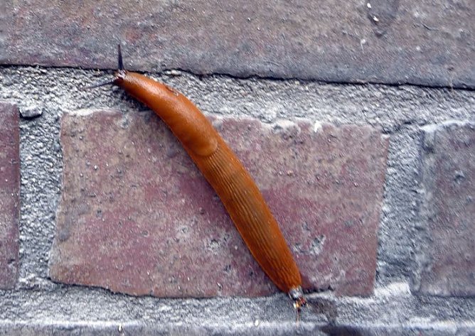 Wer kennt sich aus? (Foto: privat) Wer kennt sich aus? (Foto: privat)