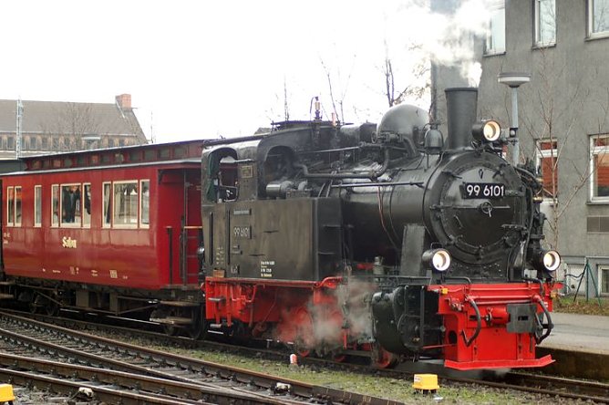 Fiffi (Foto: privat) Fiffi (Foto: privat)