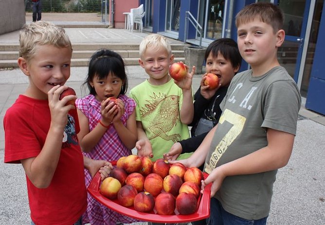 Schmackhaftes Obst (Foto: PSV)