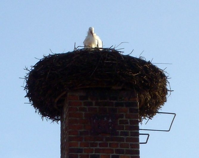 Angekommen (Foto: privat)