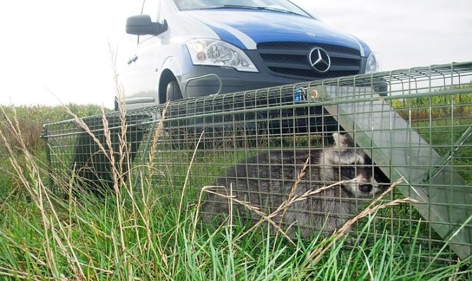 Gefangen (Foto: PSV)