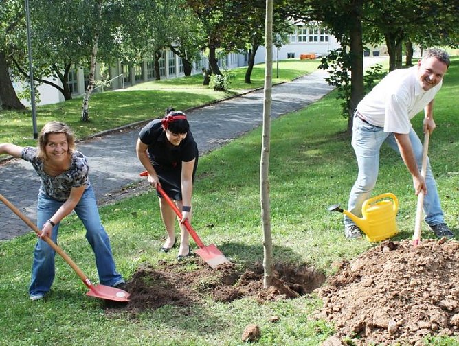 Baum gepflanzt (Foto: privat) Baum gepflanzt (Foto: privat)