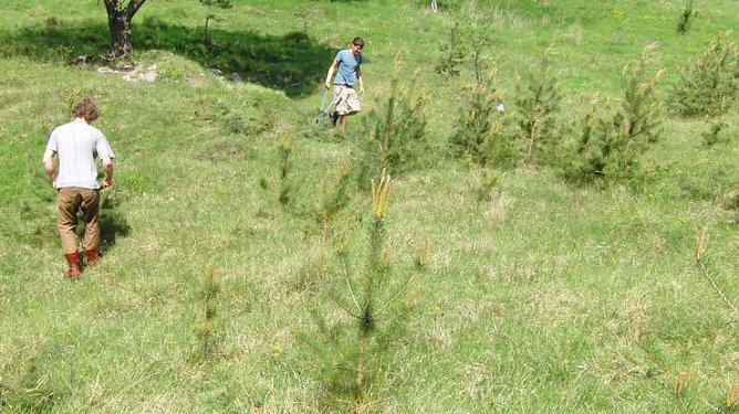 Unterwegs in der Natur (Foto: B. Schwarzberg)