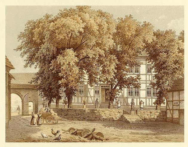 Alter Stich (Foto: privat)