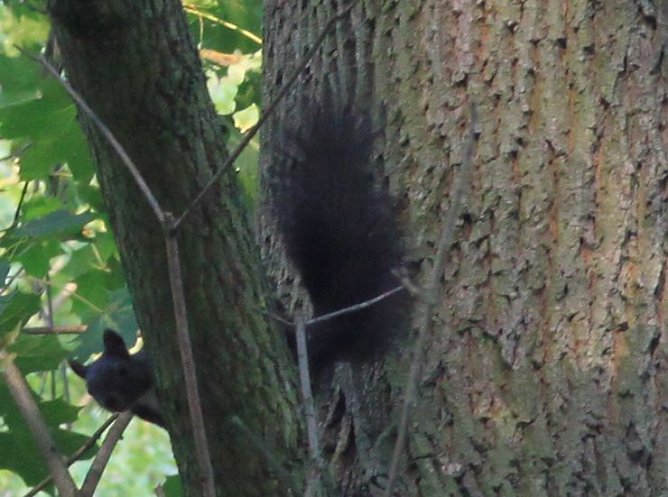 Entdecken (Foto: S. Spehr)
