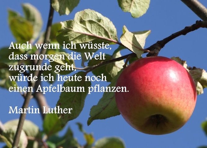 Aktion im Hospiz (Foto: privat)