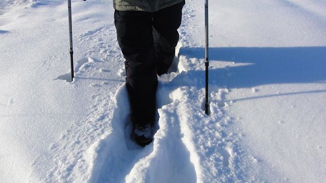 Stapfen durch den Schnee (Foto: privat) Stapfen durch den Schnee (Foto: privat)