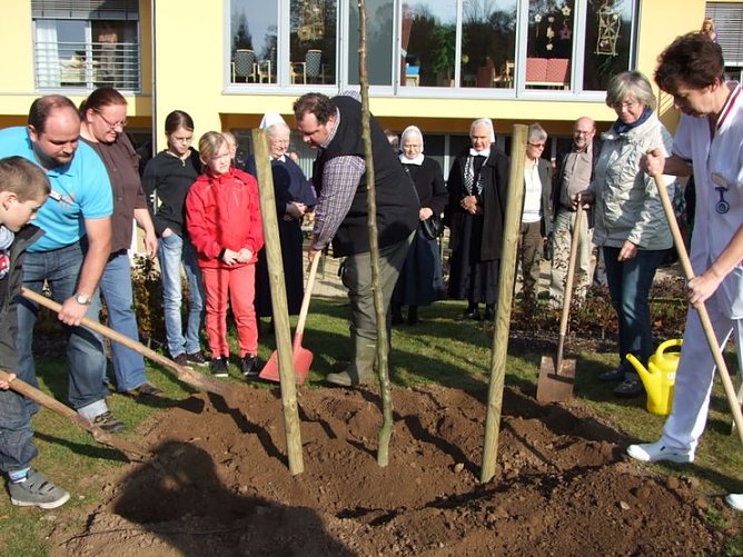 Gepflanzt (Foto: M. Sch&uuml;ler)