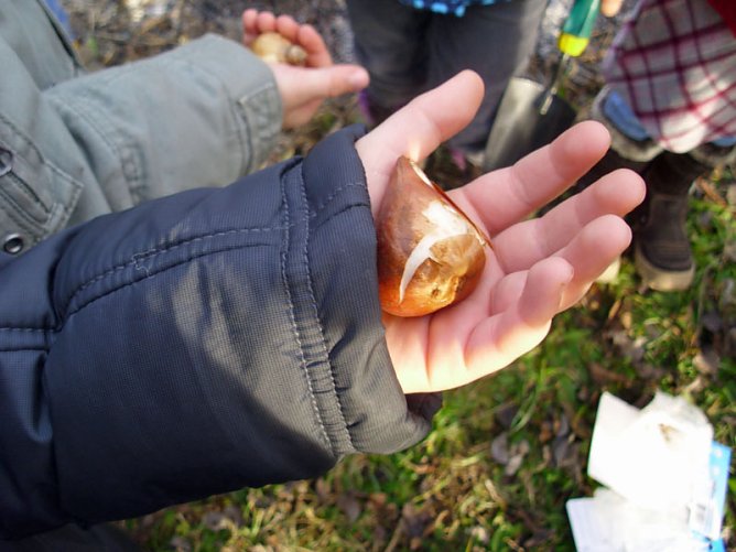 Kita Projekt mit Gl&uuml;ckauf (Foto: Thomas Leipold)