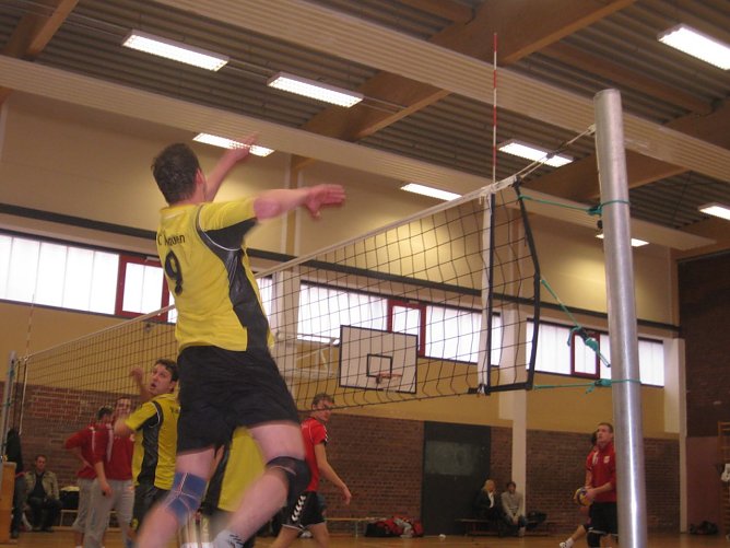 Hoch am Netz (Foto: privat)