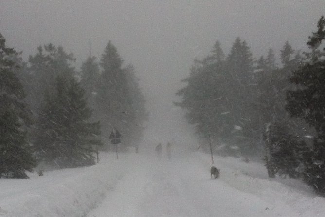 Heiligabend noch kurz auf den Brocken (2011) (Foto: vgf) Heiligabend noch kurz auf den Brocken (2011) (Foto: vgf)