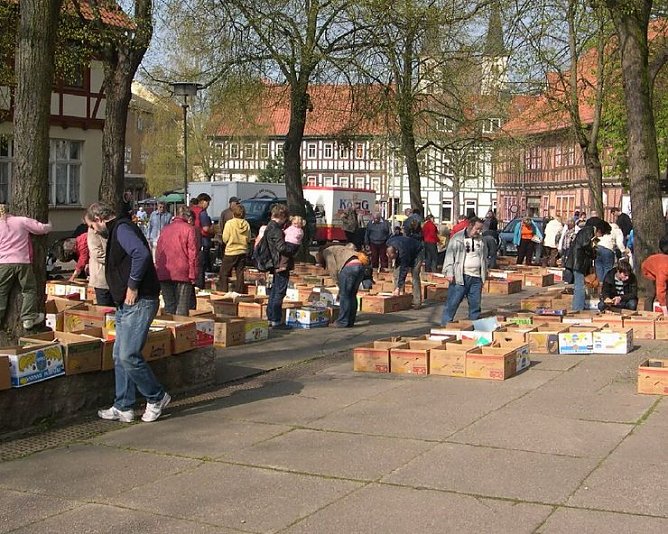 Büchermarkt (Foto: privat) Büchermarkt (Foto: privat)