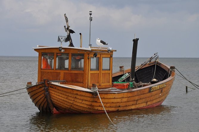 Ausgezeichnet (Foto: privat) Ausgezeichnet (Foto: privat)