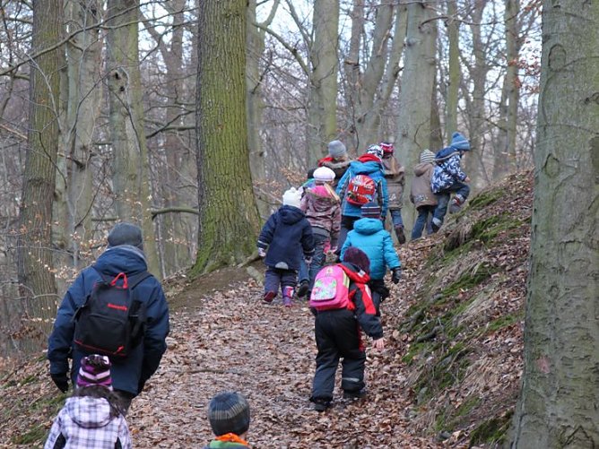 Raus in den Wald (Foto: S. Spehr)
