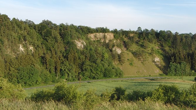 Die Pflanze von nebenan (Foto: B. Schwarzberg) Die Pflanze von nebenan (Foto: B. Schwarzberg)