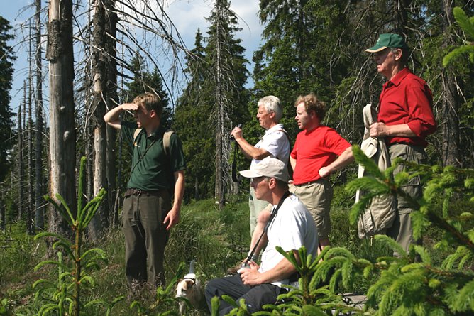 Waldf&uuml;hrer-Ausbildung - Foto: Katja John (Foto: privat)