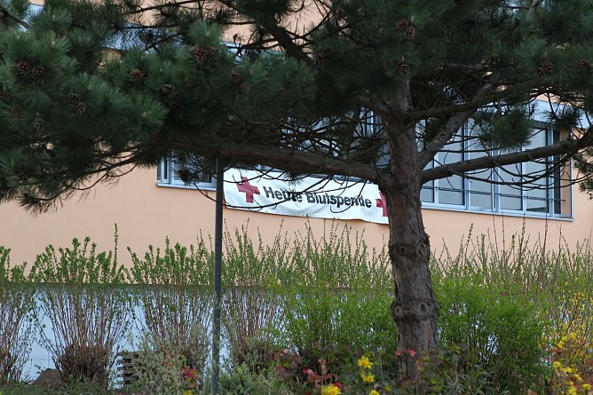 Blutspender geehrt (Foto: nnz) Blutspender geehrt (Foto: nnz)