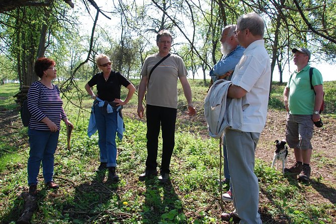 Projekt Streuobst (Foto: E. Blanke) Projekt Streuobst (Foto: E. Blanke)
