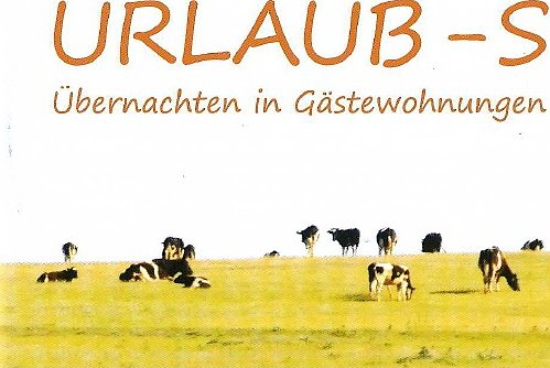 Cover des Katalogs (Foto: WBG) Cover des Katalogs (Foto: WBG)