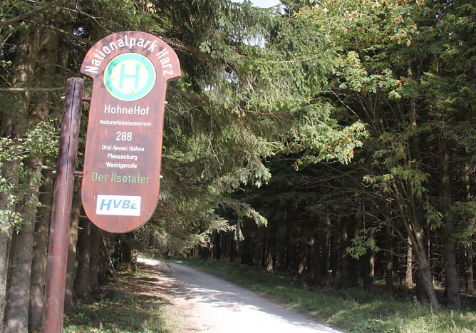 Haltestelle (Foto: privat)