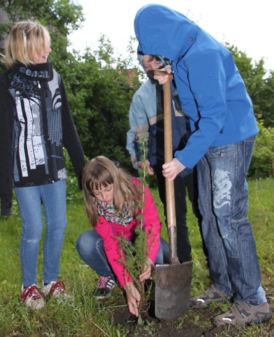 l&auml;rche (Foto: ellrich)