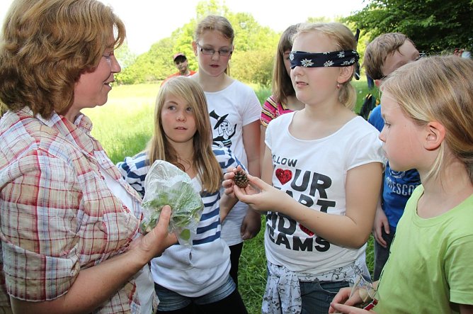Erlebnis Wald (Foto: J. Piper)
