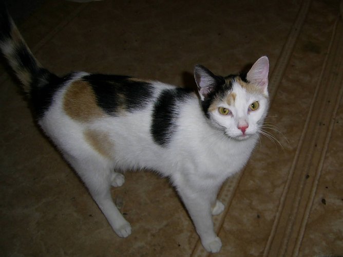 Isabella (Foto: privat) Isabella (Foto: privat)