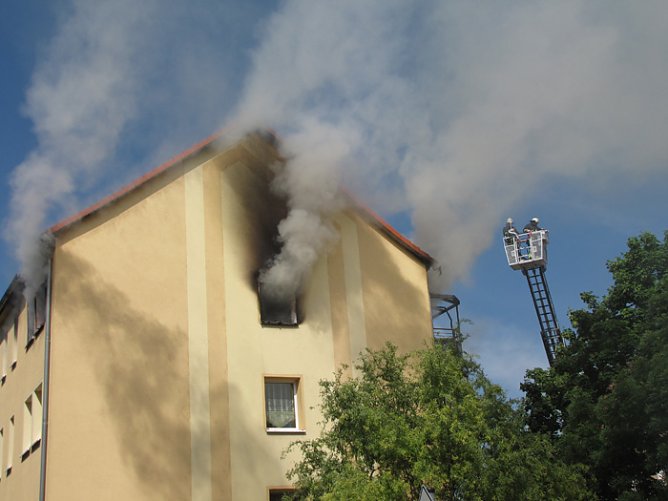 Erheblicher Schaden (Foto: Dr. Ulrich Kühn) Erheblicher Schaden (Foto: Dr. Ulrich Kühn)