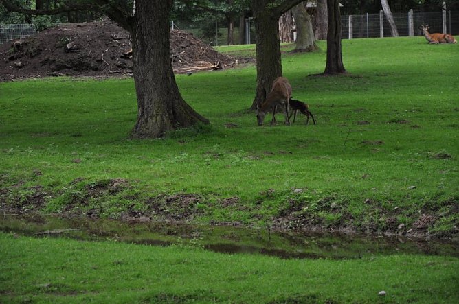 Grad geboren (Foto: privat) Grad geboren (Foto: privat)