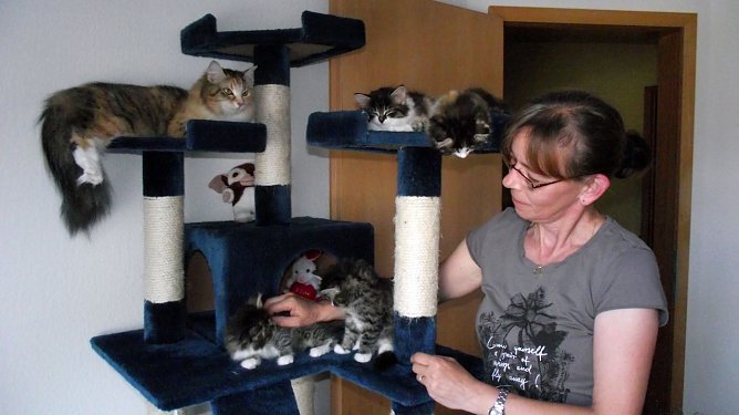 Aus Norwegen (Foto: K. Frank) Aus Norwegen (Foto: K. Frank)