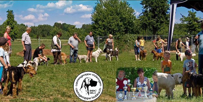 Einladung zum Tag des Hundes (Foto: privat)