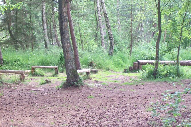 Hundeplatz (Foto: privat)