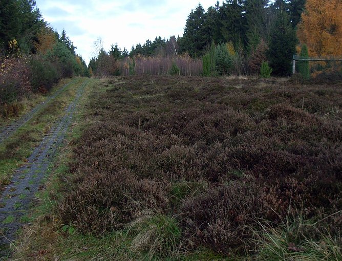 Grenzweg (Foto: A. Richter) Grenzweg (Foto: A. Richter)