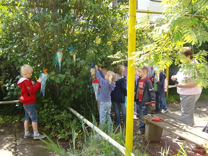 Zuckertütenbaum (Foto: S. Iffland) Zuckertütenbaum (Foto: S. Iffland)