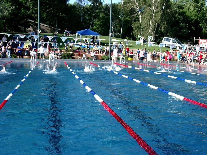 Erfolgreich geschwommen (Foto: privat) Erfolgreich geschwommen (Foto: privat)