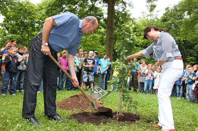 Baum gepflanzt (Foto: J. Piper) Baum gepflanzt (Foto: J. Piper)