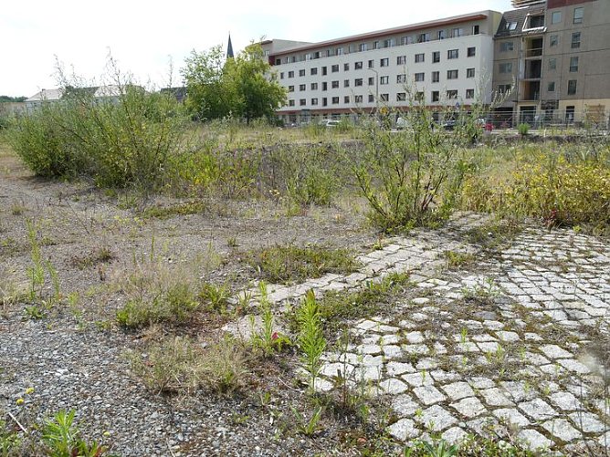 Botanischer Garten "Nordh&auml;user Pferdemarkt" (Foto: nnz)