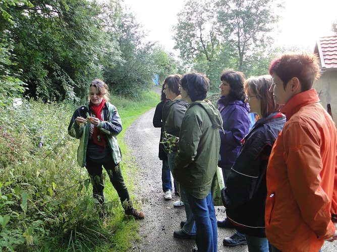 Kr&auml;uterwanderung (Foto: privat)