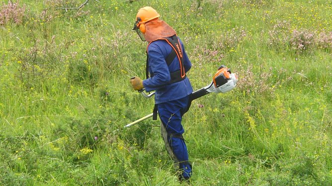 Gepflegter Einsatz (Foto: B. Schwarzberg)