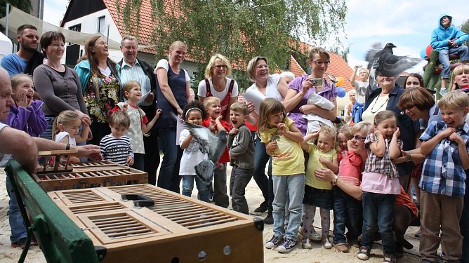 Brieftauben zum Geburtstag (Foto: psv)