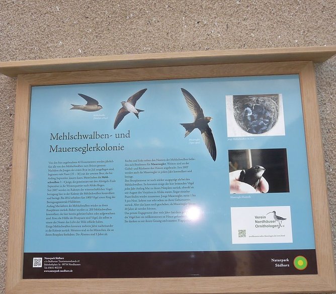 Tafel angebracht (Foto: privat)