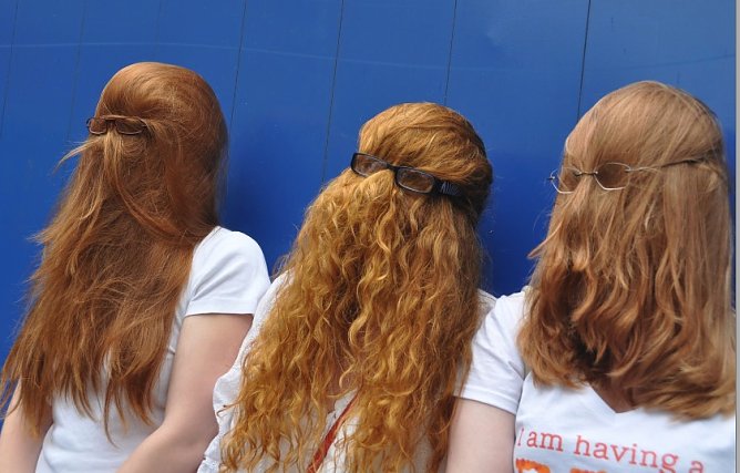 Rotehaaretreff 2012 (Foto: nnz-City Scout Sven Gämkow) Rotehaaretreff 2012 (Foto: nnz-City Scout Sven Gämkow)