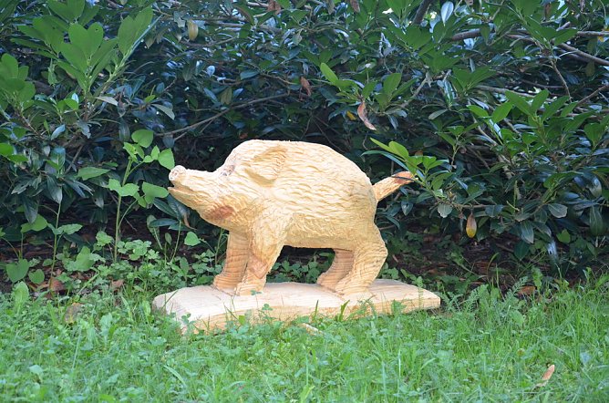 Wird versteigert (Foto: H. Michel)