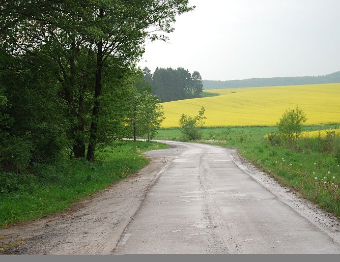 Gipsstra&szlig;e (Foto: B90/Gr&uuml;ne)