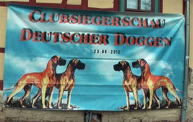 Doggen &uuml;berall (Foto: Karl-Heinz Herrmann)