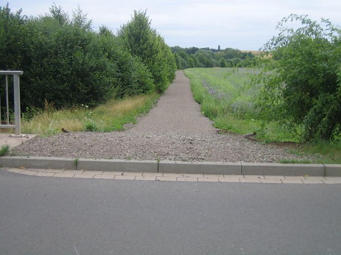 Und wie weiter? (Foto: Mäusetaler) Und wie weiter? (Foto: Mäusetaler)