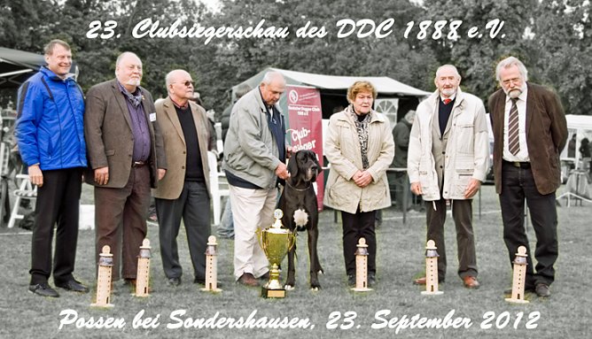 23. Clubsiegerschau des DDC (Foto: Ortsgruppe Holbach) 23. Clubsiegerschau des DDC (Foto: Ortsgruppe Holbach)