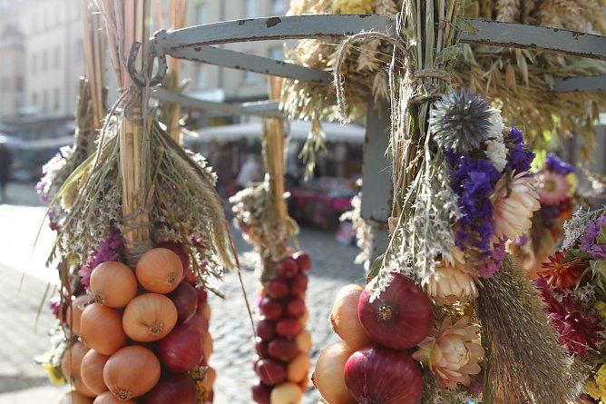 K&uuml;rbis- und Zwiebelmarkt (Foto: nnz)